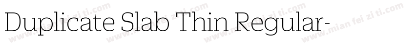 Duplicate Slab Thin Regular字体转换